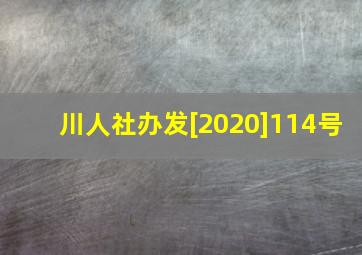 川人社办发[2020]114号